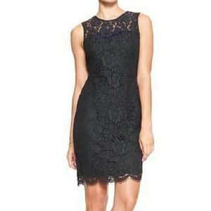 Banana Republic Navy Lace Sheath Dress